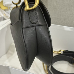 디올 여왕샵 女王 19CM (디올 새들백)