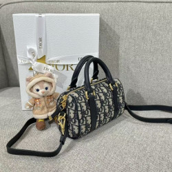 디올 여왕샵 女王 16CM X 11CM X 8CM (디올 오블리크 그루브 자카드 미니백)