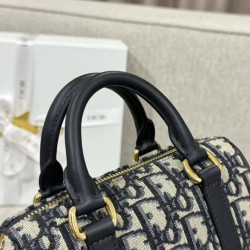 디올 여왕샵 女王 16CM X 11CM X 8CM (디올 오블리크 그루브 자카드 미니백)
