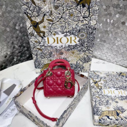 DIOR-喜洋洋