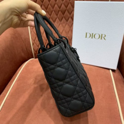 디올 米粒 20CM