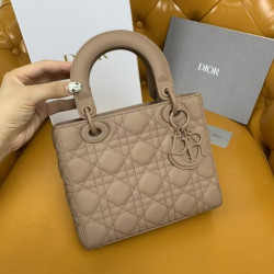 디올 米粒 20CM