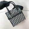 디올 오블리크 사파리 노스 사우스 토드백 14CM X 19CM X 6.5CM