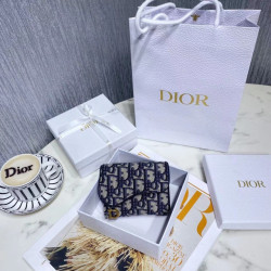 DIOR-喜洋洋