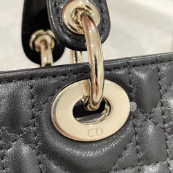 DIOR-女王 16CM