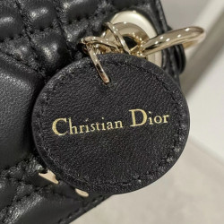 DIOR-女王 16CM