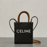 CELINE 17CM X 20CM X 6CM