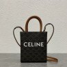 CELINE 17CM X 20CM X 6CM