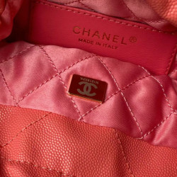 샤넬 22백  미니 Chanel 22 MINI Handbag