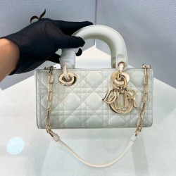 DIOR 22CM