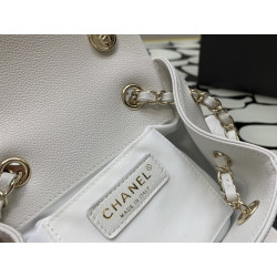 CHANEL 19.5CM