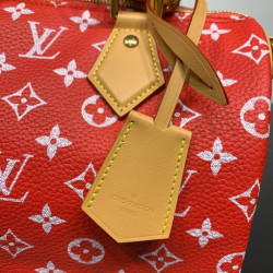 LOUISVUITTON 25CM X 15CM X 15CM