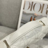 DIOR-女王 21CM X 11.5CM X 4.5CM