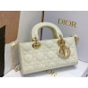 DIOR 22CM