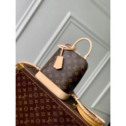 LOUISVUITTON 15CM X 20CM X...